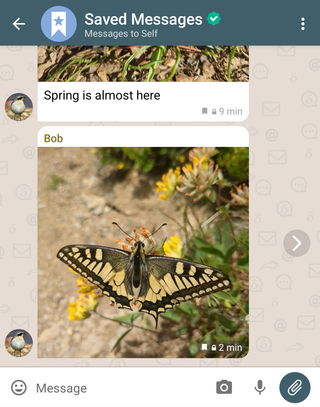 screenshot showing the new Saved Messages chat feature